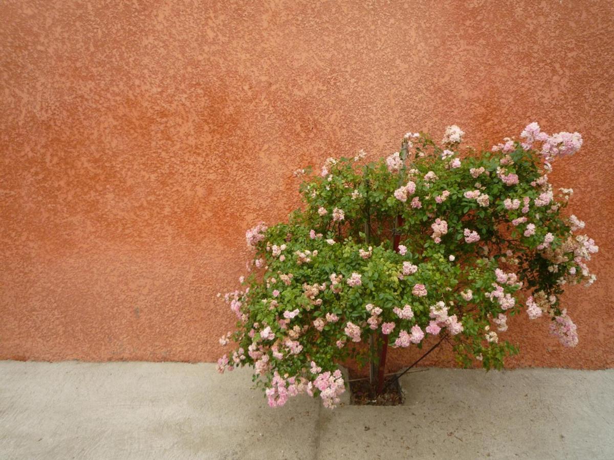 Charming And Quaint 2-Bed House In Marseillan Villa Bagian luar foto